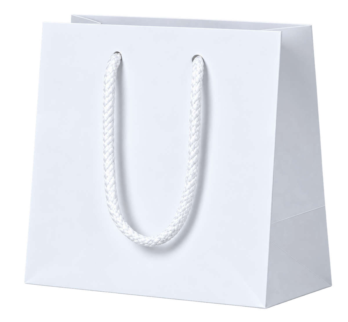 Luxury Gift Bags with Rope Handles, Matte Finish