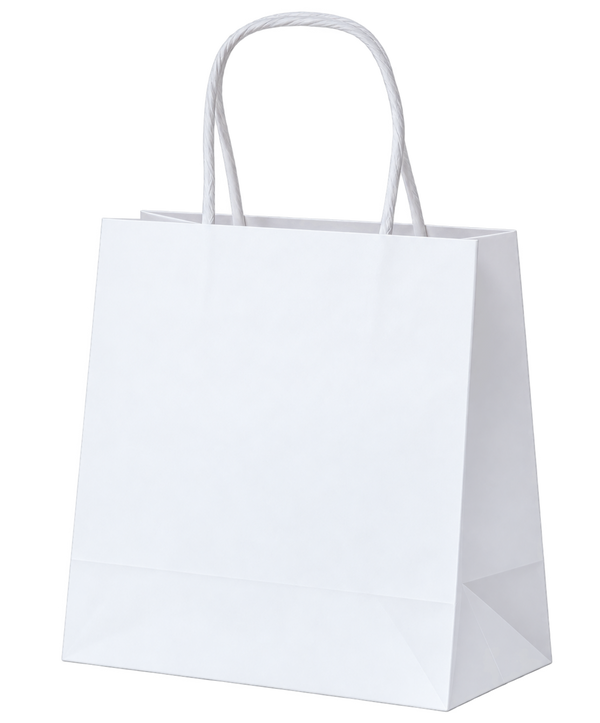 Paper Gift Bags with Handles, Coloured, Pack of 10