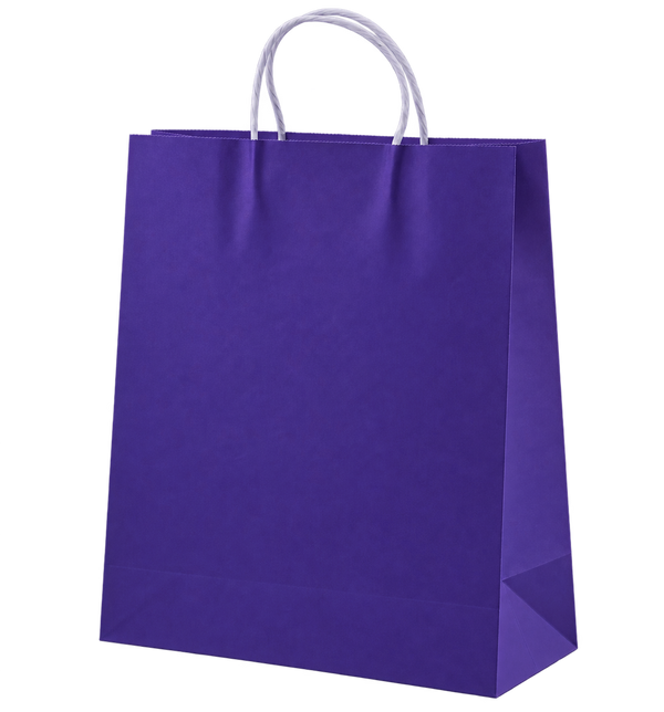 Purple Paper Gift Bags with Handles, Bulk Carton of 250